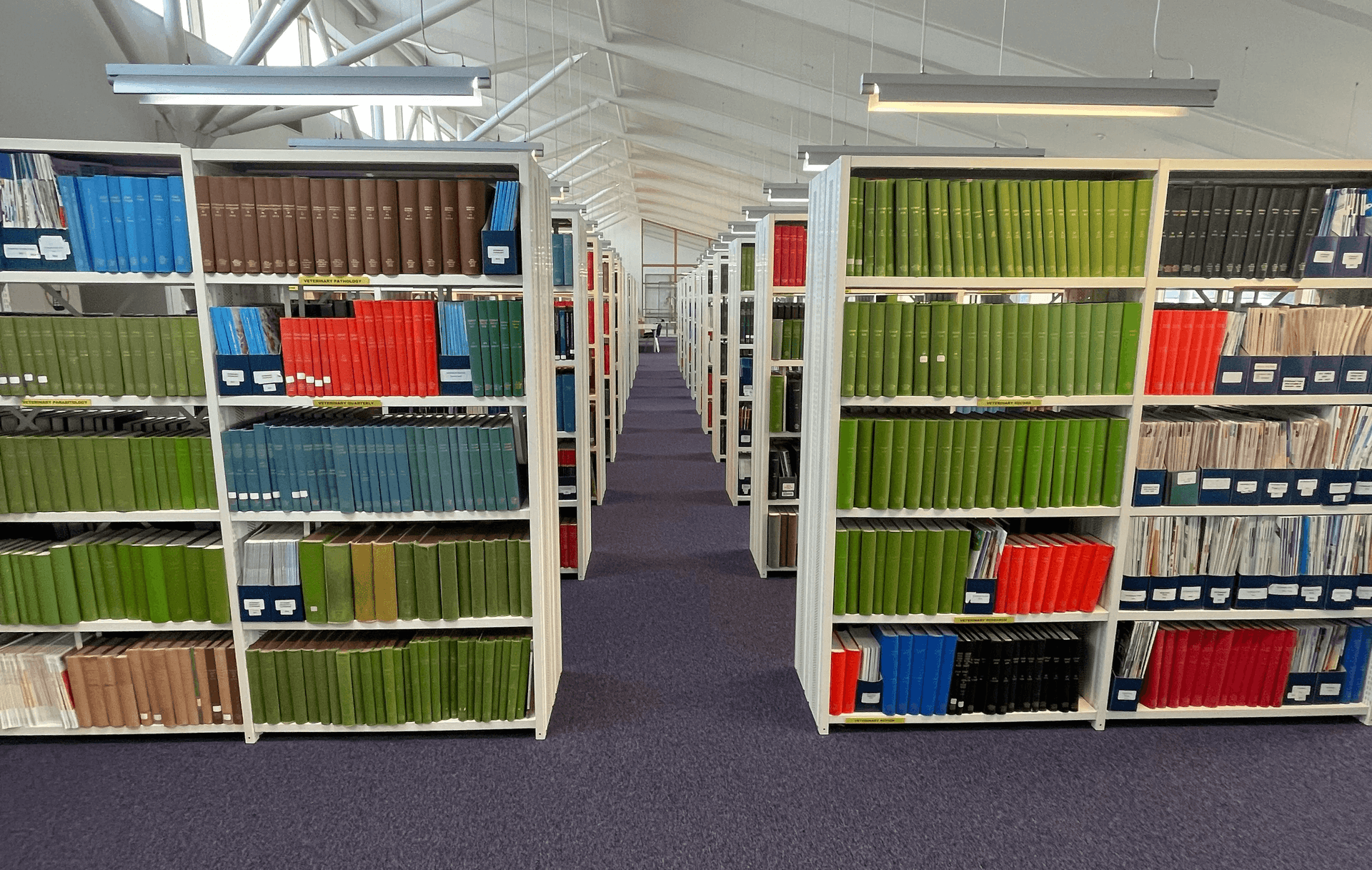 The Real Cost of Cleaning up Your Books Later